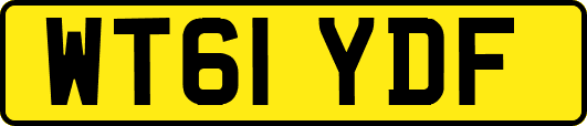 WT61YDF