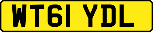 WT61YDL