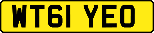 WT61YEO