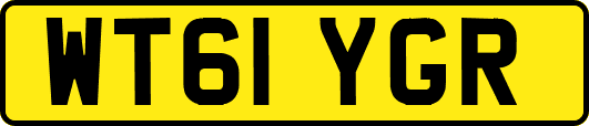 WT61YGR