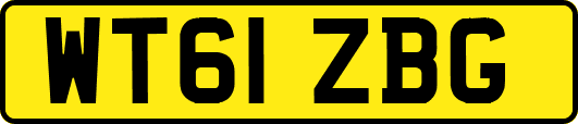 WT61ZBG