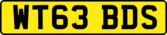 WT63BDS
