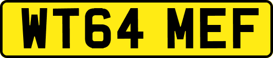 WT64MEF