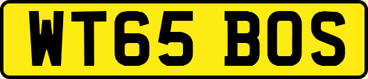 WT65BOS