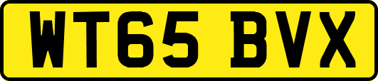 WT65BVX
