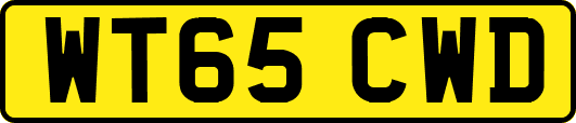 WT65CWD