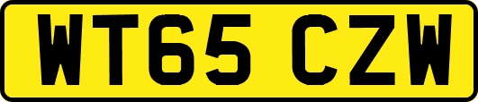 WT65CZW
