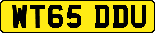 WT65DDU