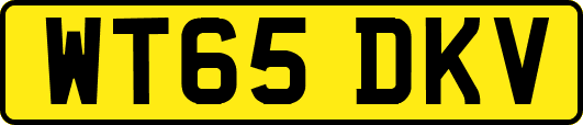 WT65DKV