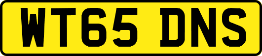 WT65DNS