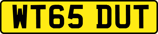 WT65DUT