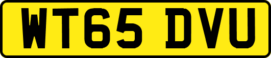 WT65DVU
