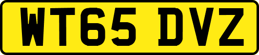 WT65DVZ