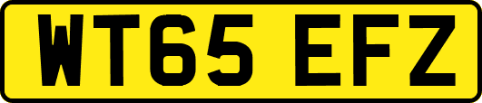 WT65EFZ