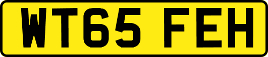 WT65FEH