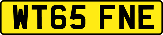 WT65FNE