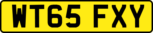 WT65FXY