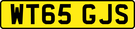 WT65GJS