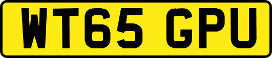 WT65GPU