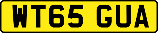 WT65GUA