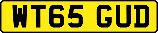 WT65GUD