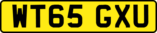 WT65GXU
