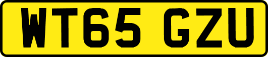 WT65GZU