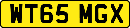 WT65MGX