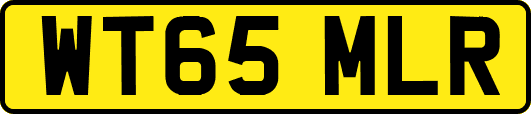 WT65MLR