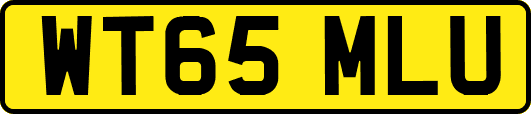 WT65MLU