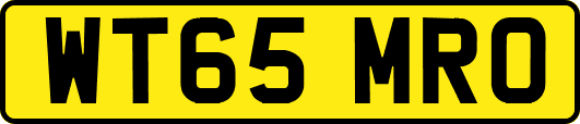 WT65MRO