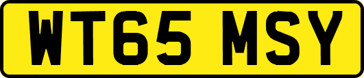 WT65MSY