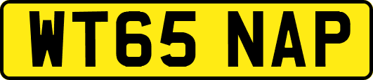 WT65NAP