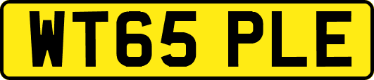 WT65PLE