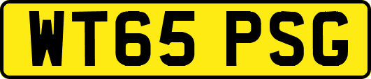 WT65PSG