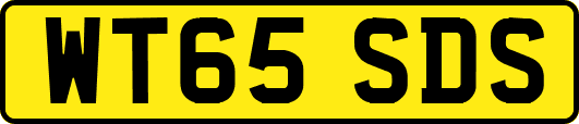 WT65SDS