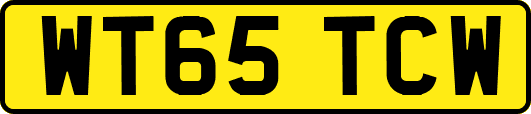 WT65TCW
