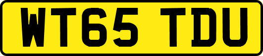 WT65TDU