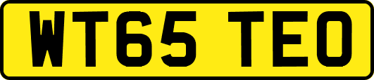 WT65TEO
