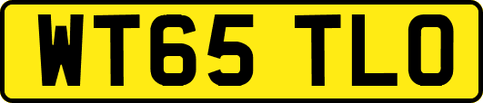 WT65TLO