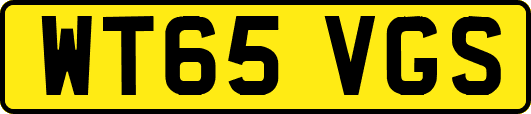 WT65VGS