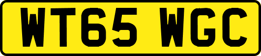 WT65WGC
