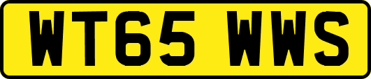 WT65WWS