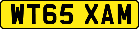 WT65XAM