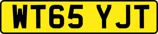 WT65YJT