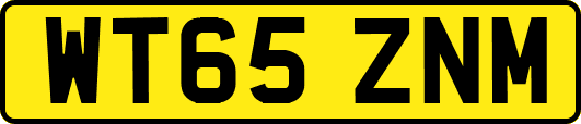 WT65ZNM