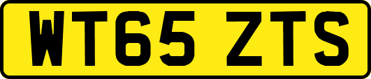 WT65ZTS