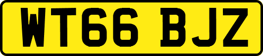 WT66BJZ