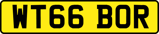WT66BOR
