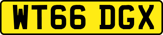 WT66DGX